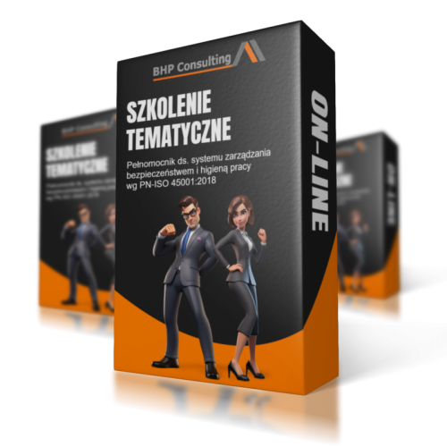 Pełnomocnik ds. systemu zarządzania BHP ISO 45001 – szkolenie online e-learning
