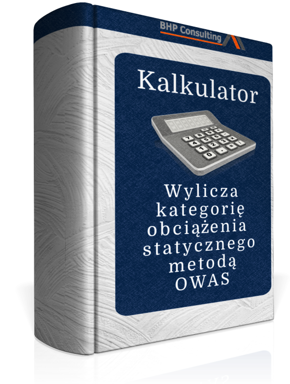 obciążenie statyczne stanowisko pracy metodą OWAS