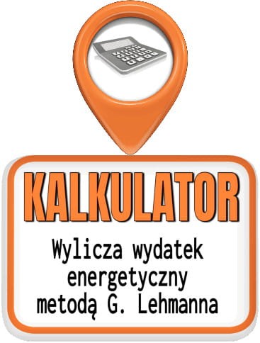 metoda Lehmana obliczanie wydatku energetycznego pracownika
