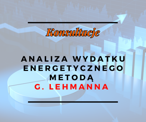 Analiza wydatku energetycznego metodą Lehmanna - konsultacje