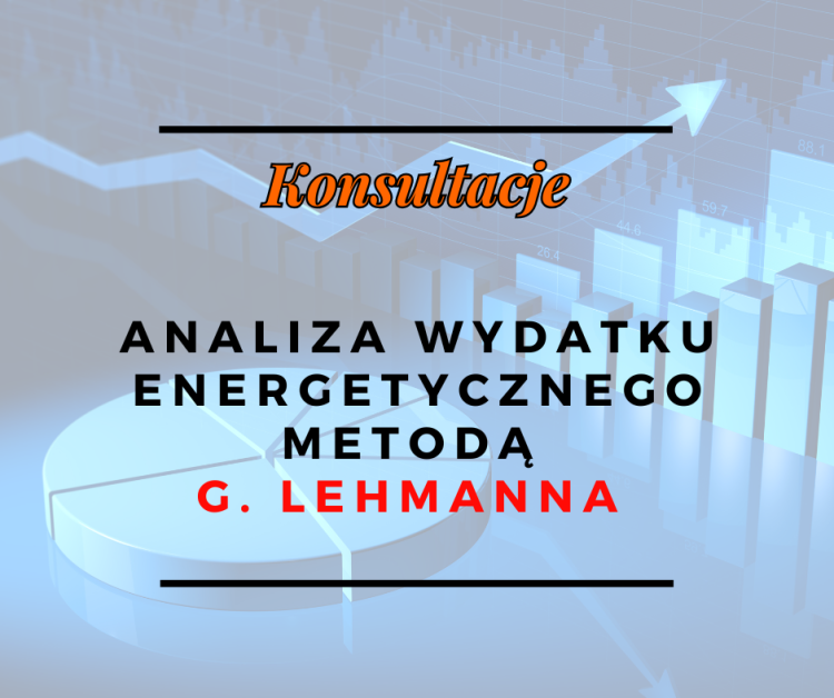 Analiza wydatku energetycznego metodą Lehmanna - konsultacje