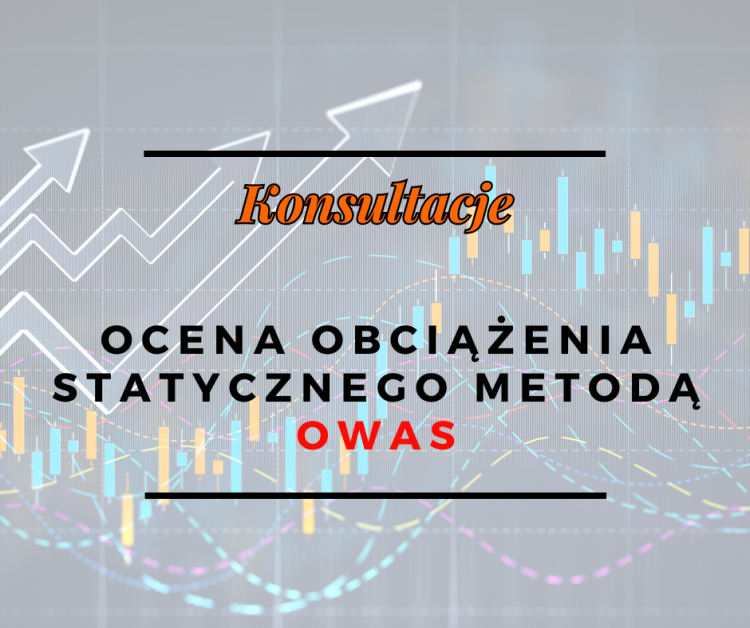Ocena obciążenia statycznego metodą OWAS